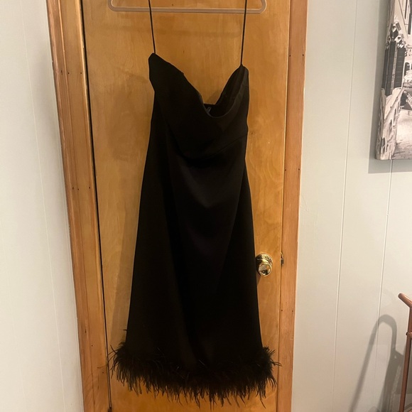 Lucy Paris Mareena feather trim Dress - Picture 3 of 5